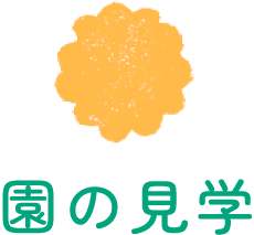 園の見学